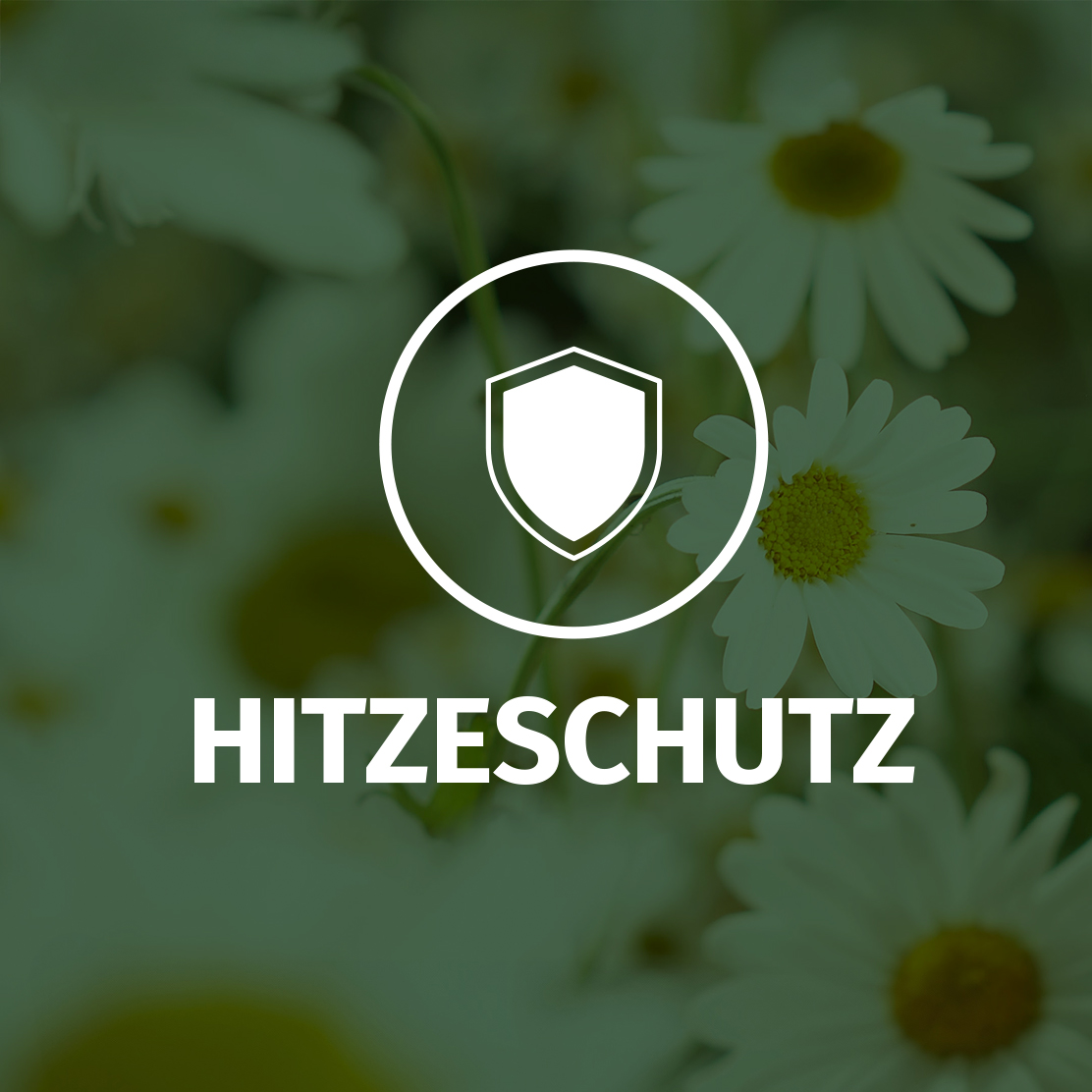 Hitzeschutz