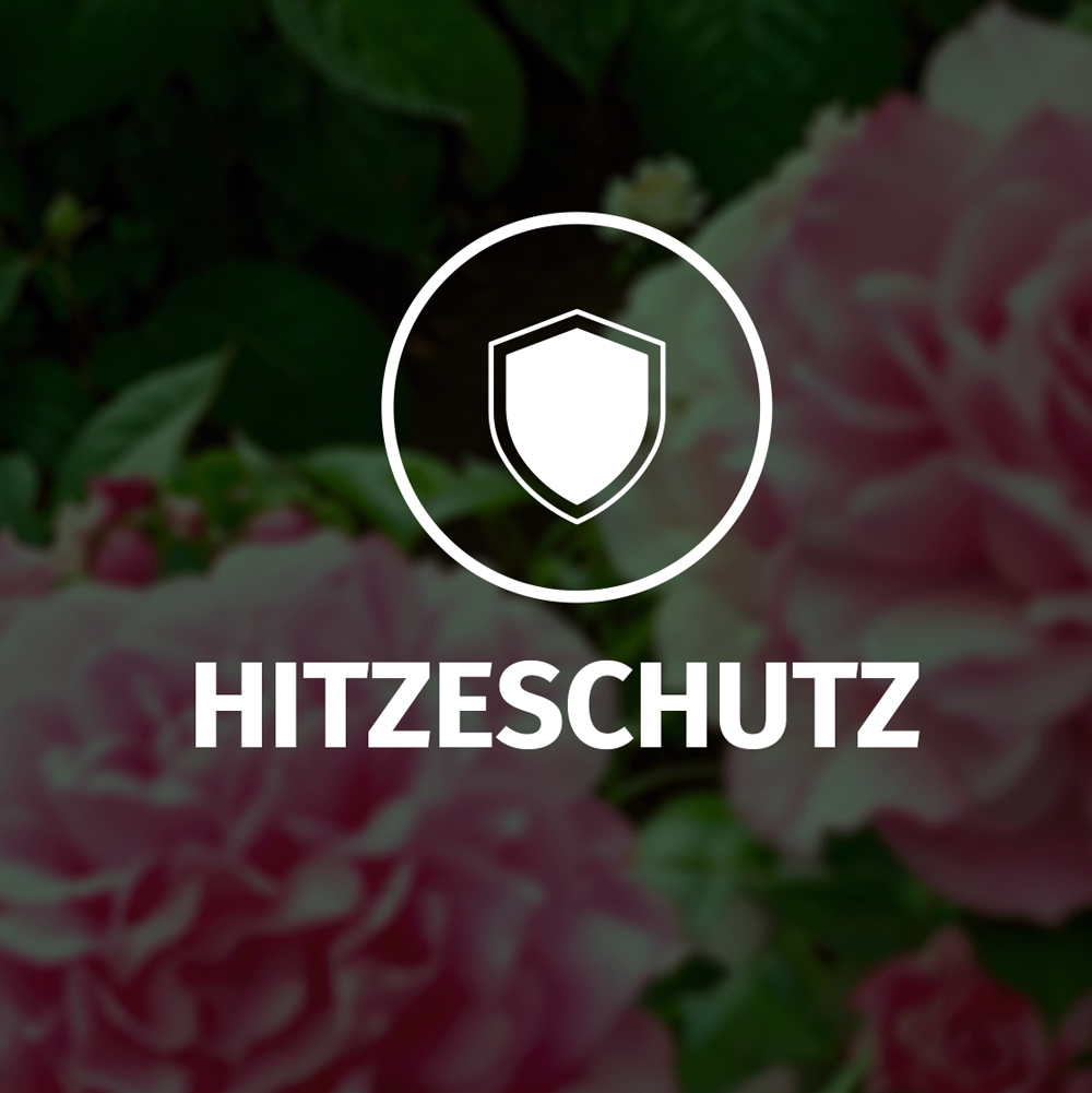 Hitzeschutz