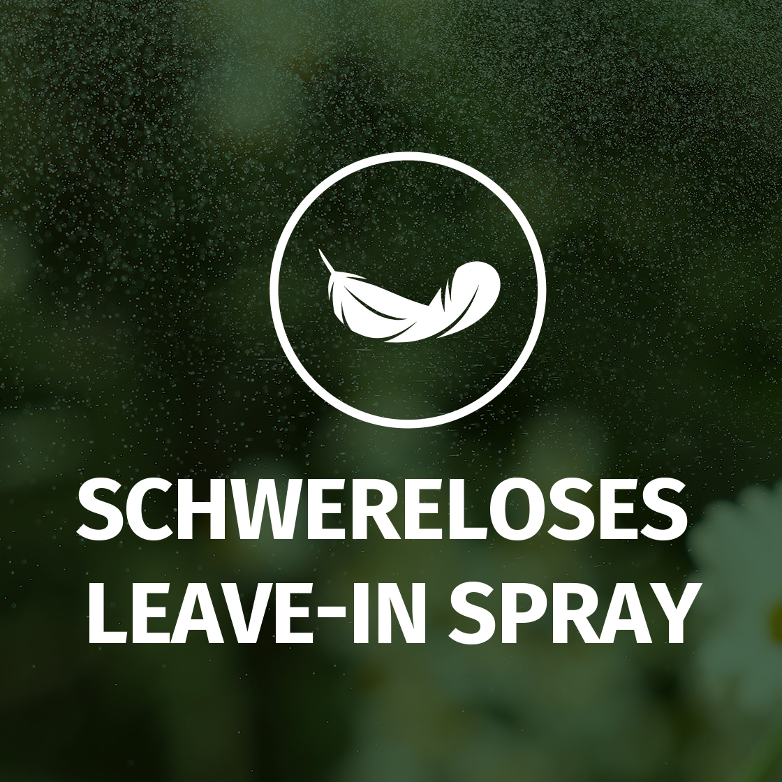 Schwereloses Leave-in Spray