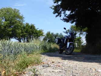 Bike parked in the shade next to a field in the sun