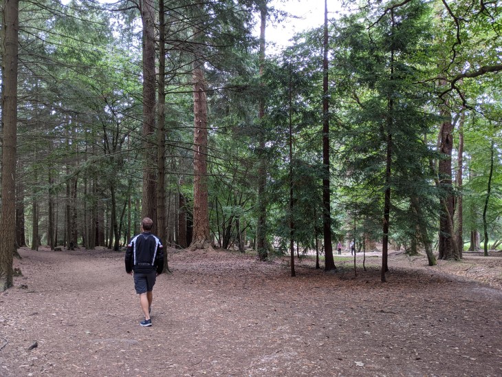 walking through the forest