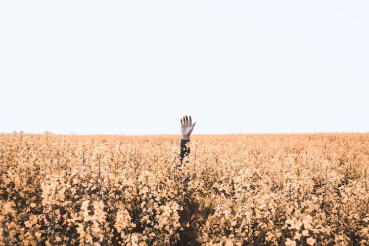 a hand raised in a field