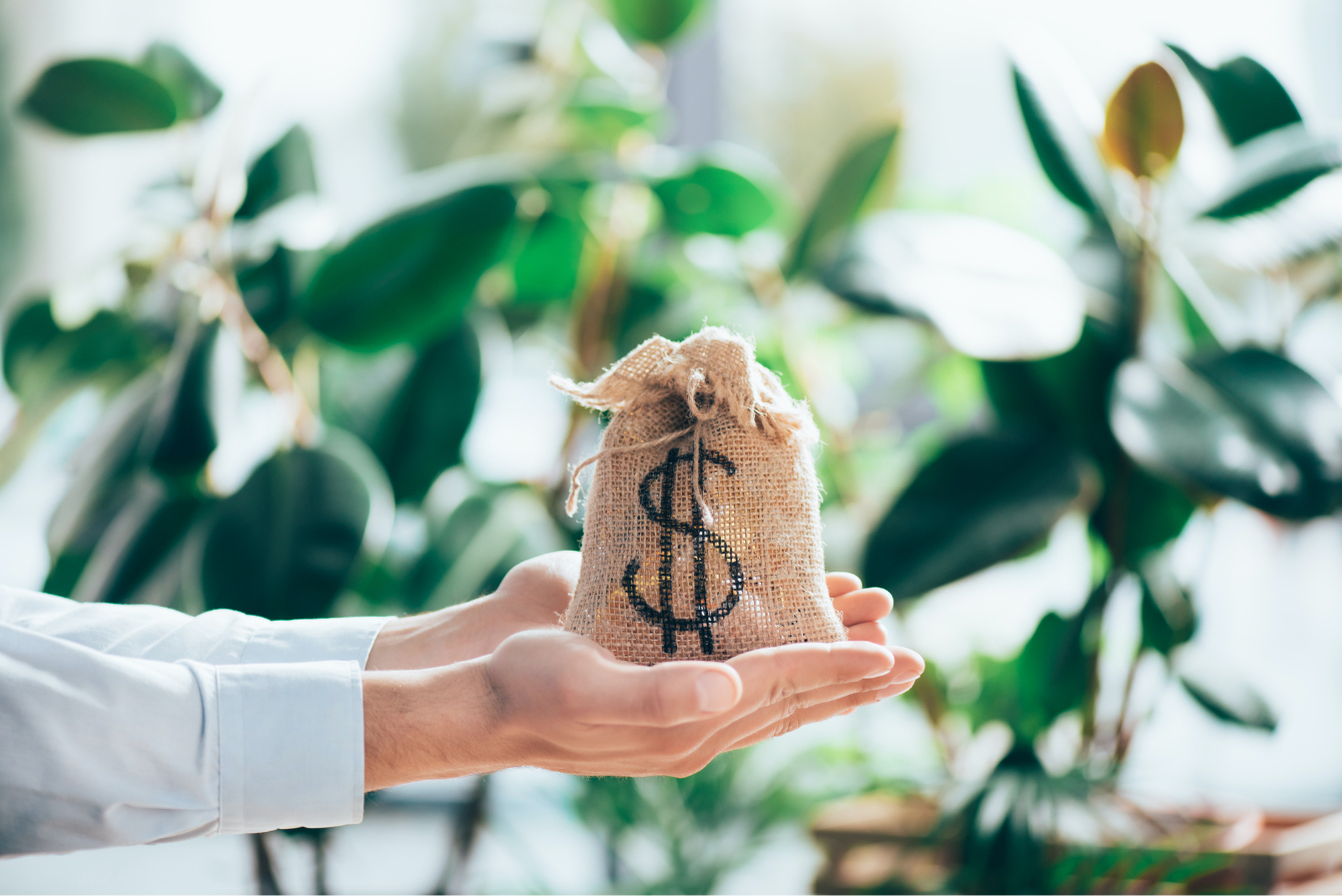 The Ultimate Guide to Stock Investing: A Proven Path to Financial Freedom