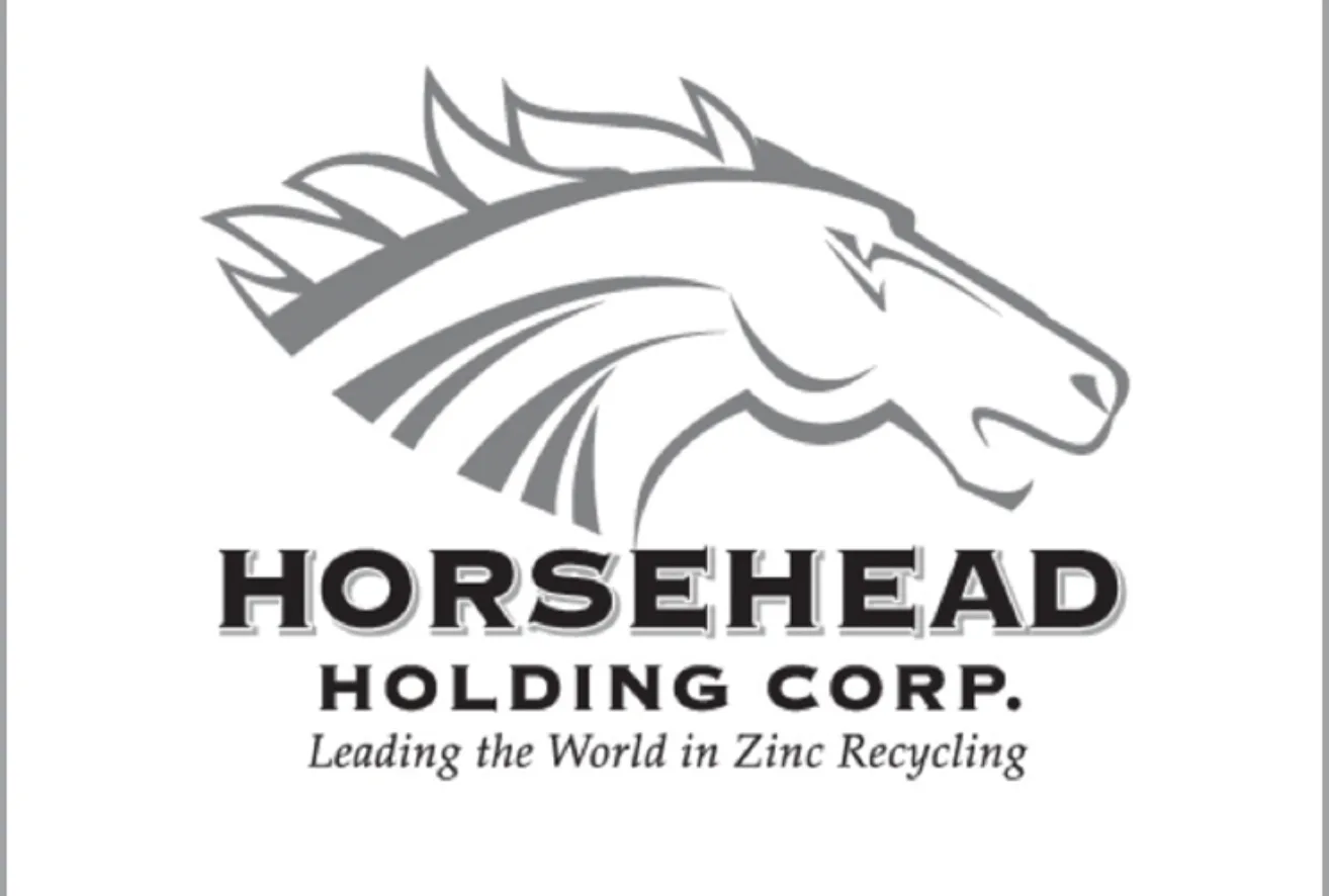 What I Learned from Losing Millions on Horsehead Holding