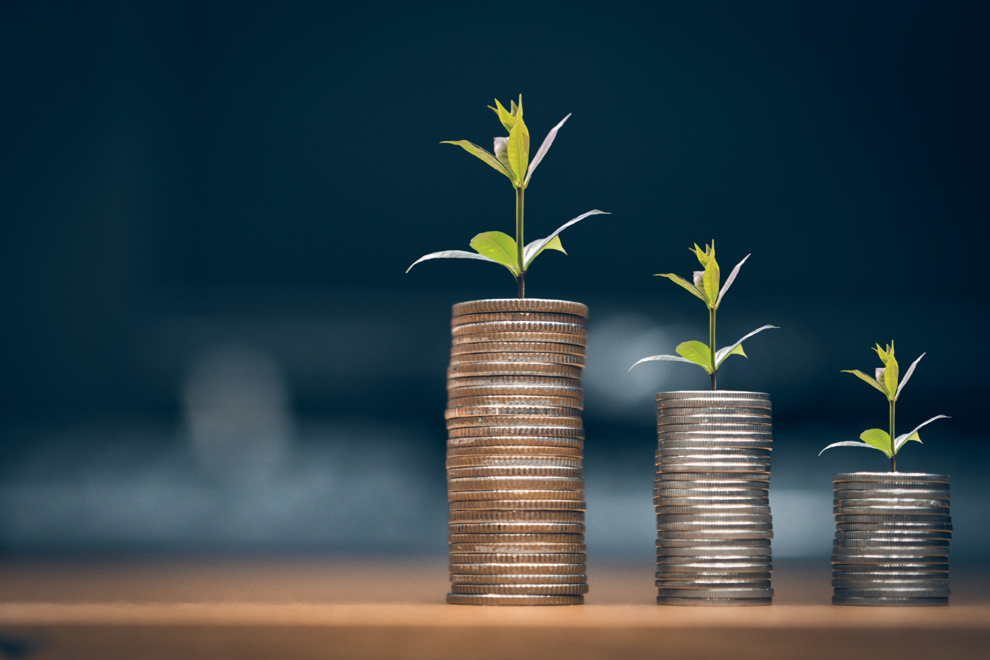 How Dawa Tarchin Phillips Uses Emotional Intelligence for Intelligent Investing
