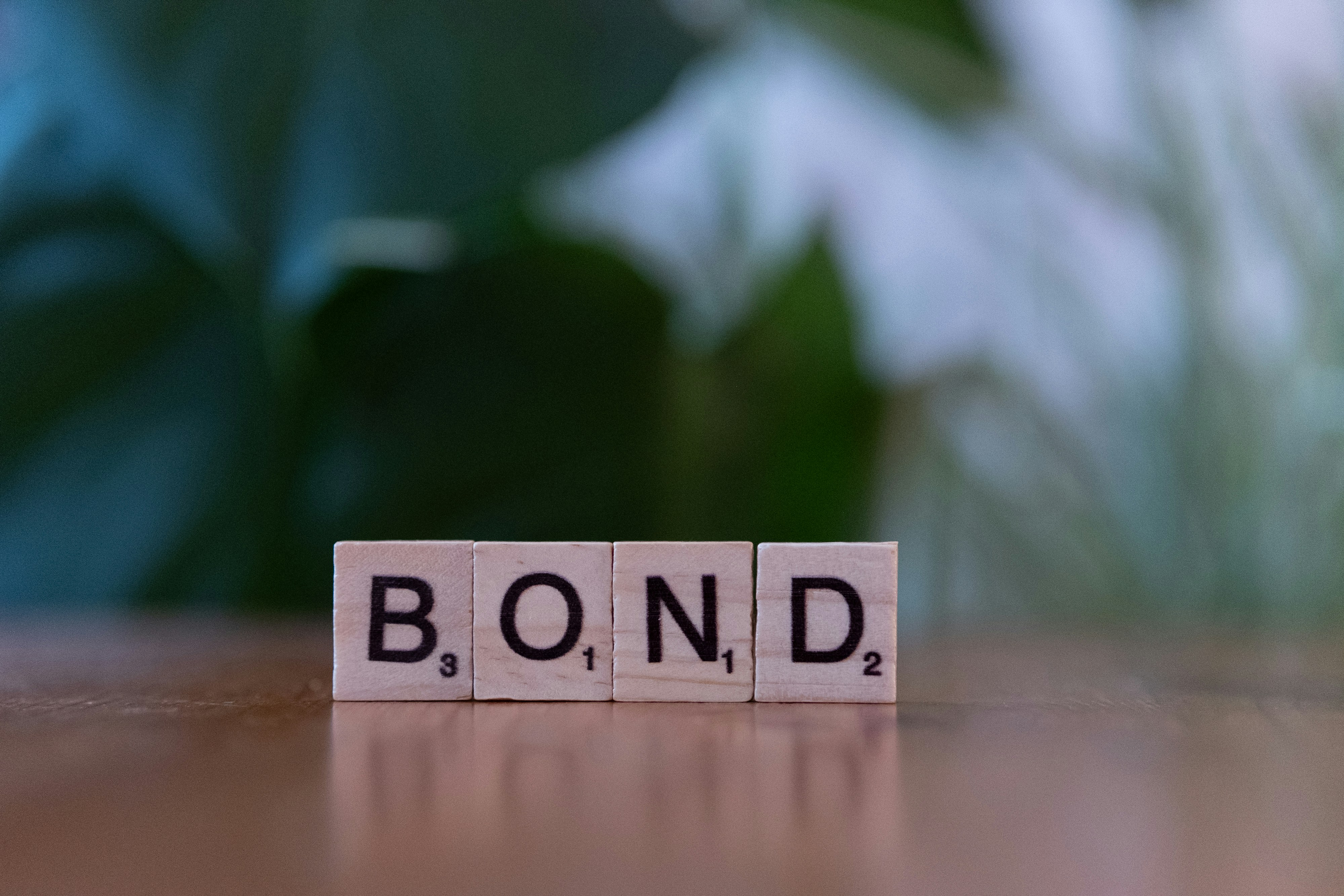 Bonds vs. Stocks: What Every Rule #1 Investor Should Know