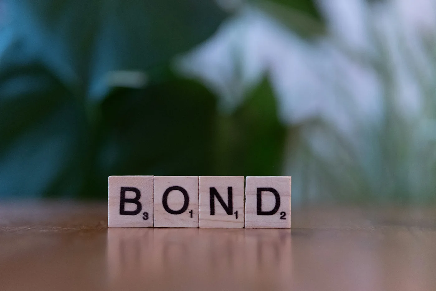 Bonds vs. Stocks: What Every Rule #1 Investor Should Know