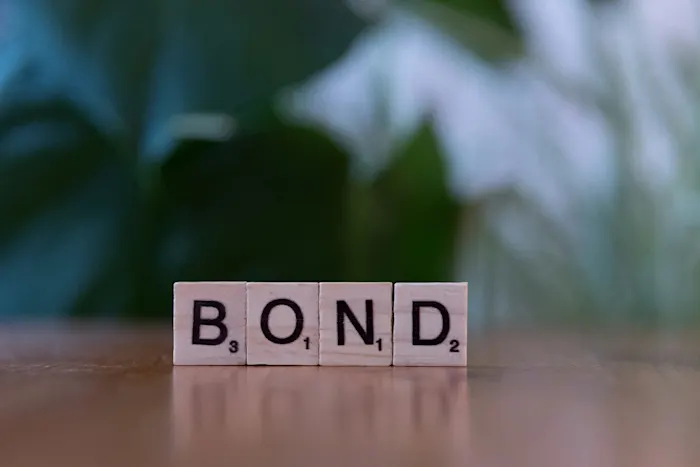 Bonds vs. Stocks: What Every Rule #1 Investor Should Know