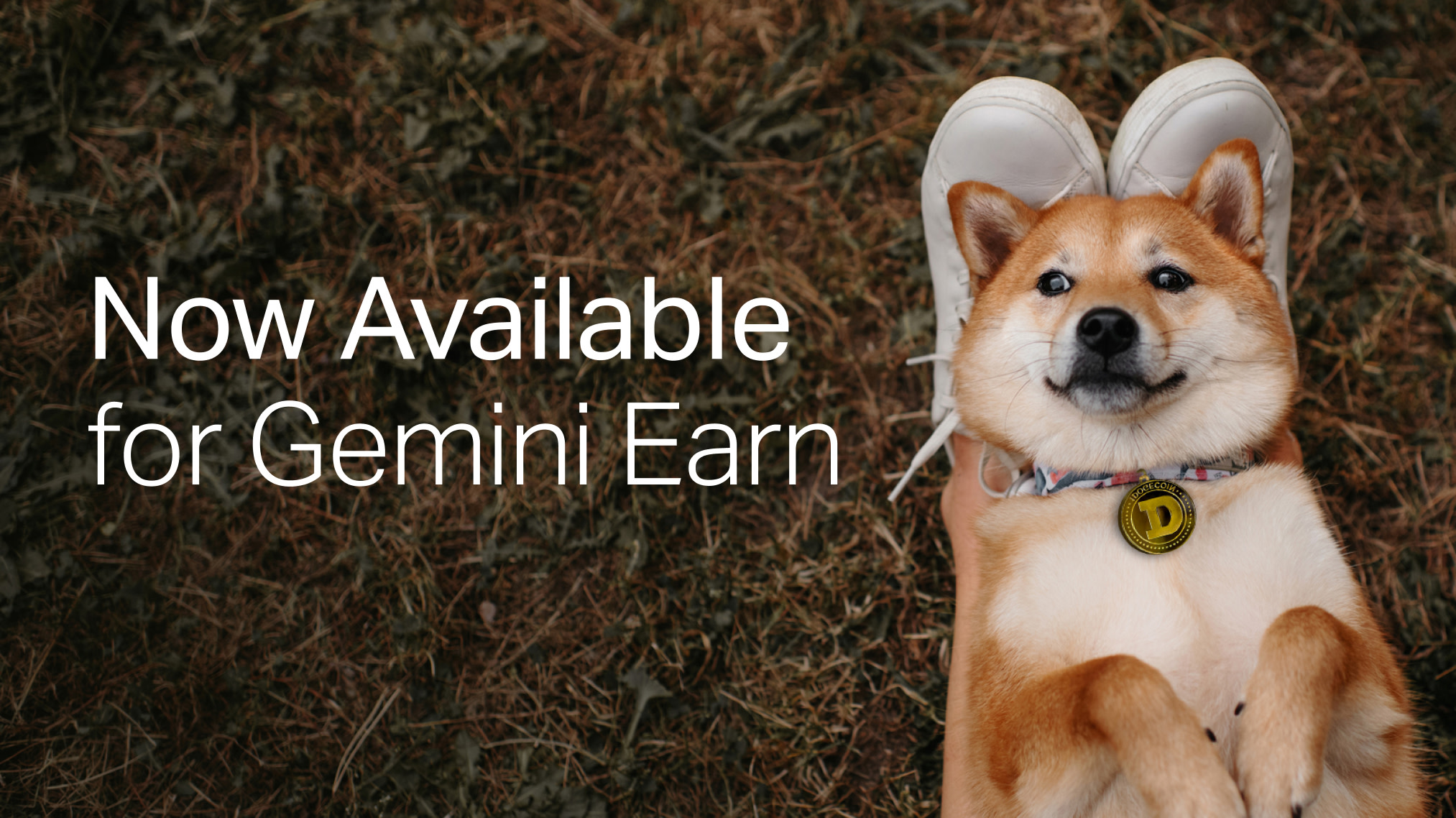 gemini earn doge