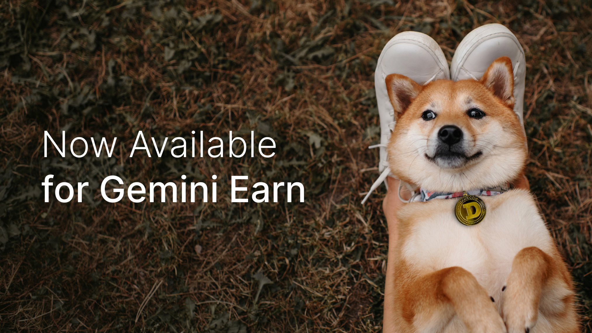 Earn Interest On Doge With Gemini Earn Which Now Holds 2b In Assets Gemini