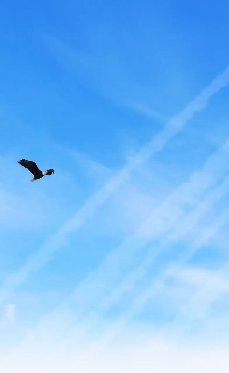 American business background