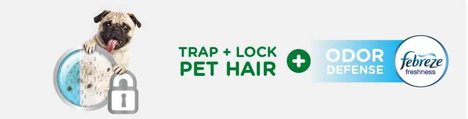 trap lock pet messes