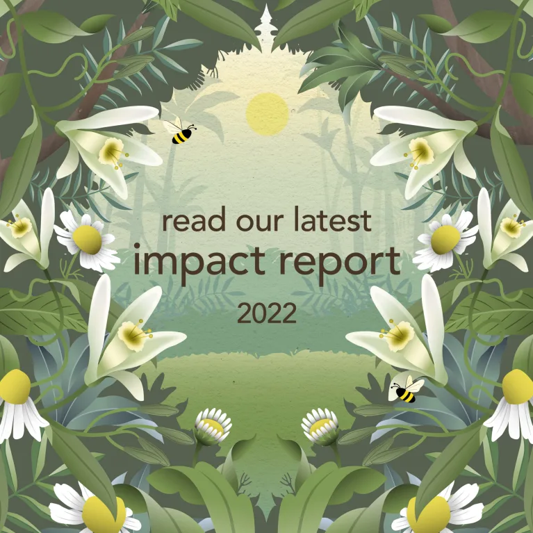 article grid Pukka’s 2022 Impact Report