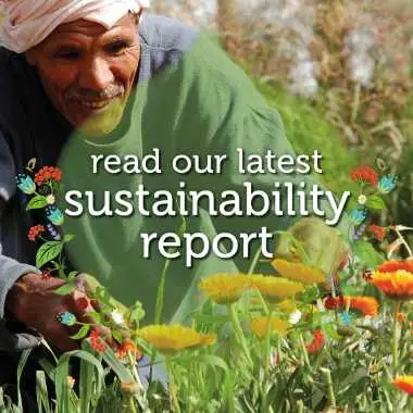 article grid Rapport Pukka de 2018 sur la durabilité