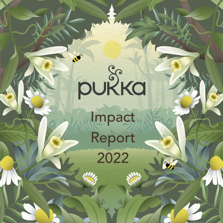 article grid news/pukka-impact-report