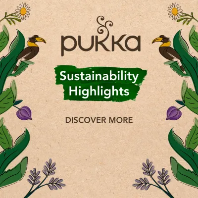 article grid Pukka's 2019 Sustainability Report
