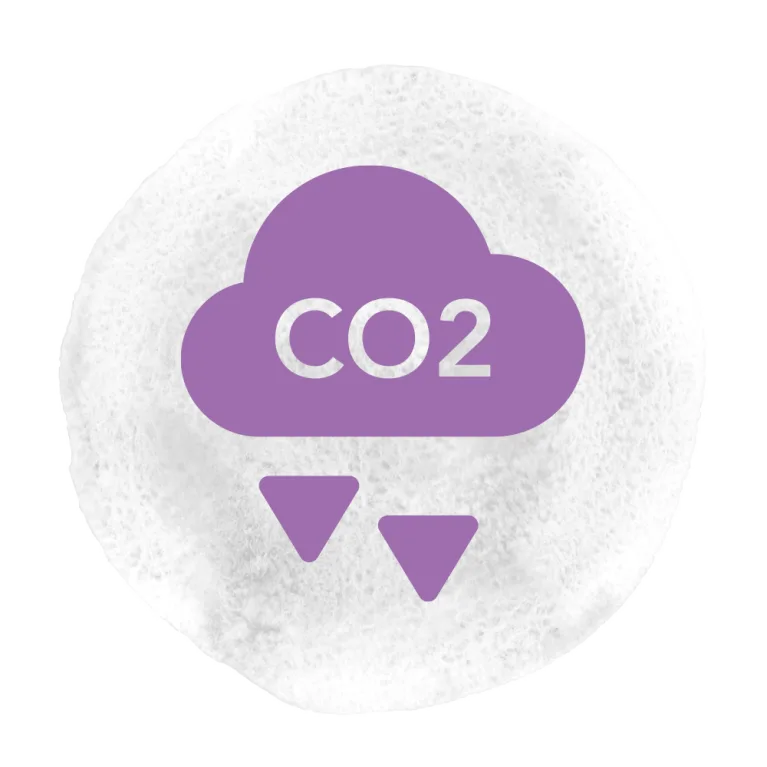 grid-image-CO2 carbon neutral