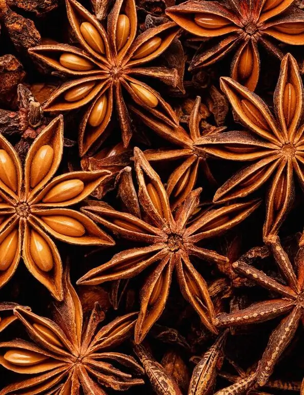 pukka-after-dinner-herbal-herbal-tea-fennel-aniseed-turmeric-blend