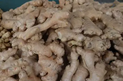 article grid The benefits of ginger and how we source it