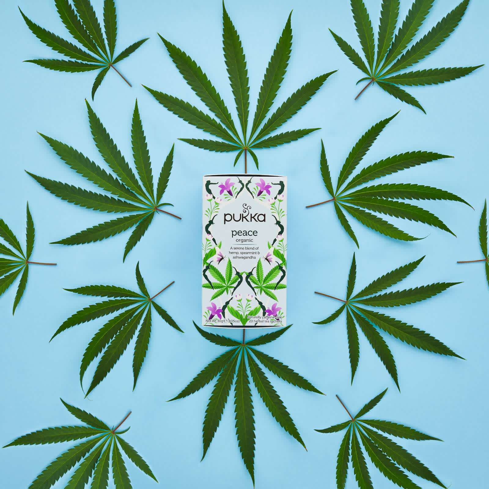 introducing-our-hemp-peace-tea-pukka-herbs