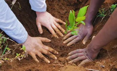 Pukka Herbs Australia article grid TreeSisters: Women as a force of nature