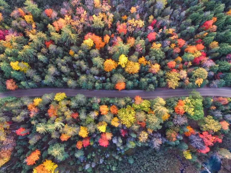 Herbst-Wohlfühl-Guide: So hilft uns Ayurveda im Herbst