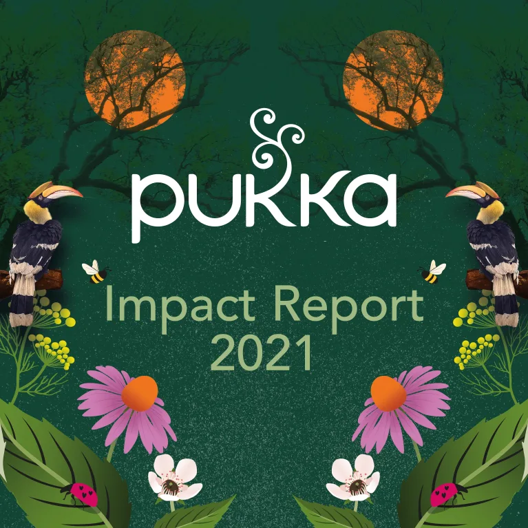 article grid Pukkas Impact Report 2021
