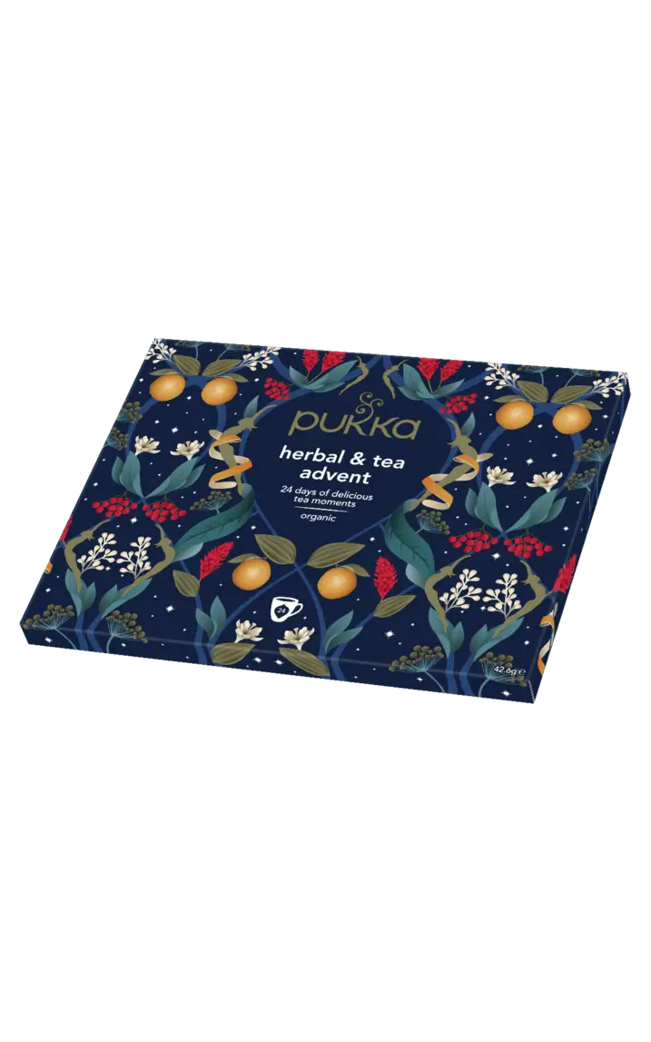 Advent 1 December 2024 Title advent-1-december-2024-title