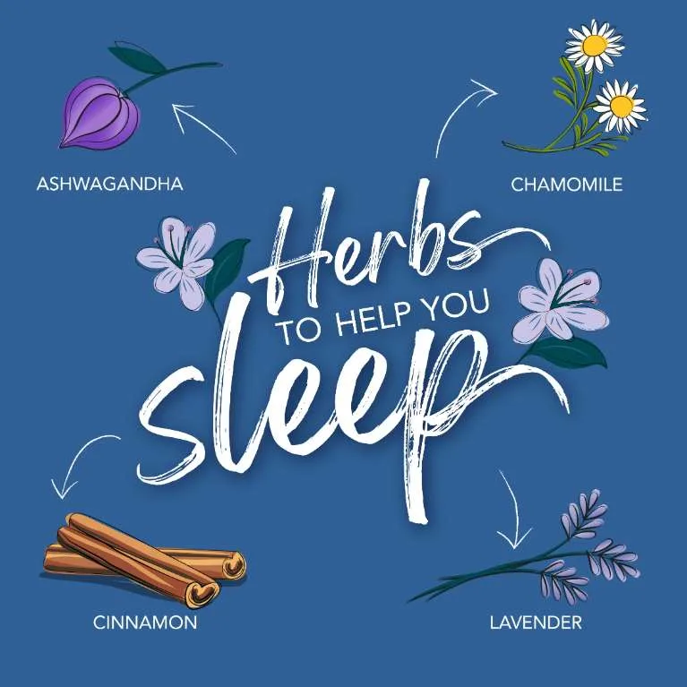 article grid  Herbs to help you sleep