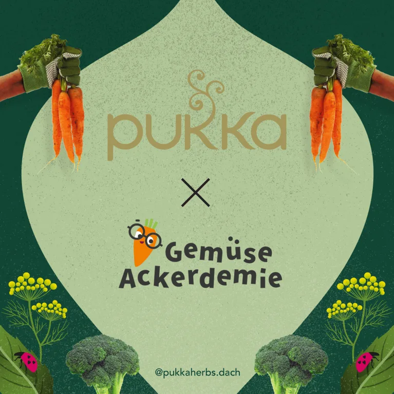 1% for the Planet: Pukka unterstützt die GemüseAckerdemie alternative text