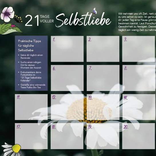 Section text and image - Take2 21-day calendar DE
