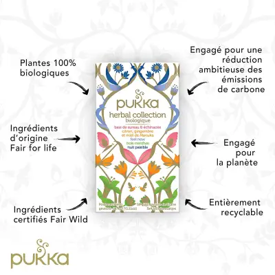 Pukka Herbal Collection infusion biologique