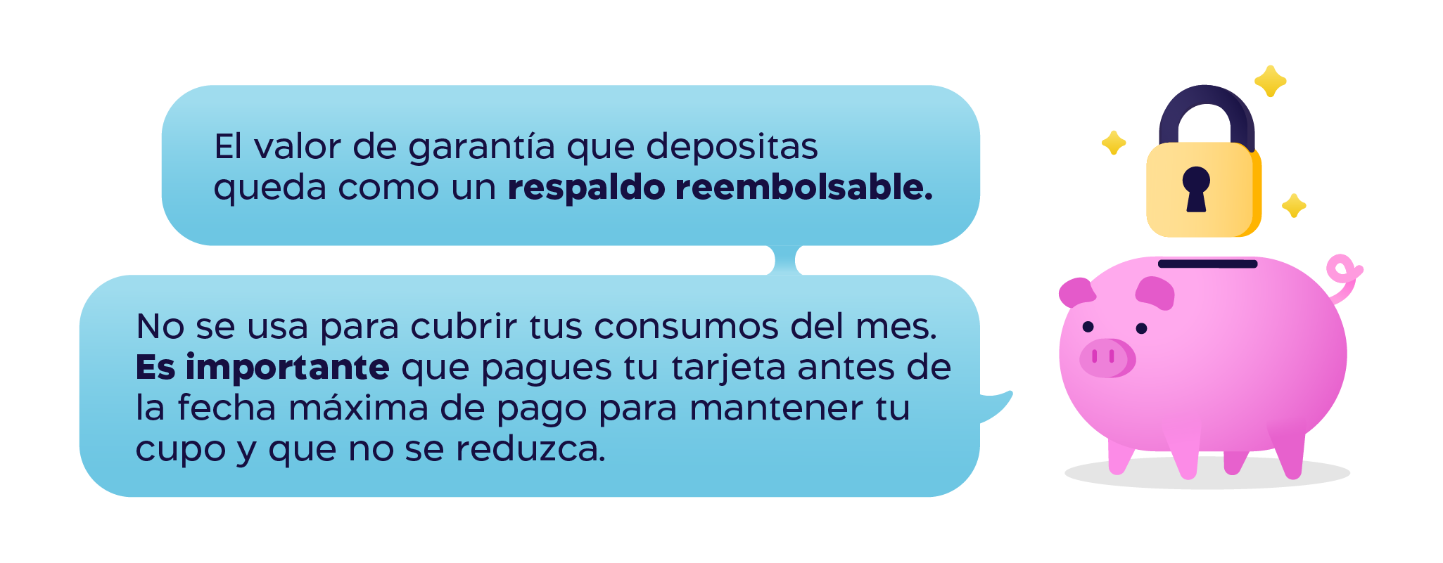 cupo garantia chanchitip desktop