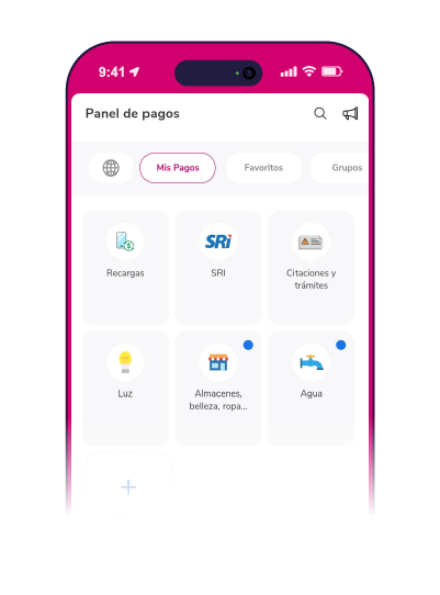 panel pagos app mobile