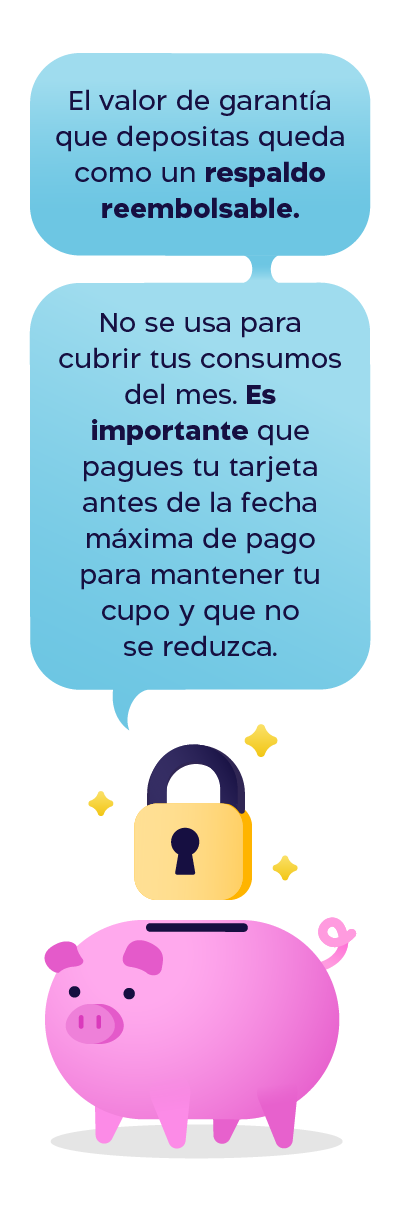 cupo garantia chanchitip mobile