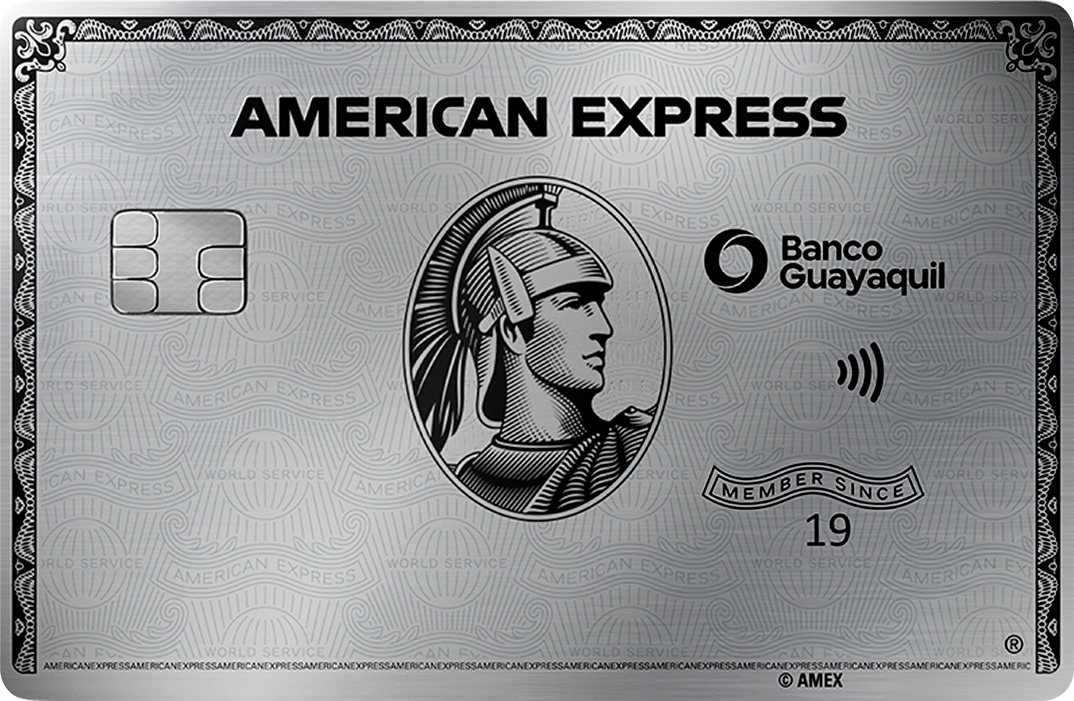 American Express® The Platinum Card Metal