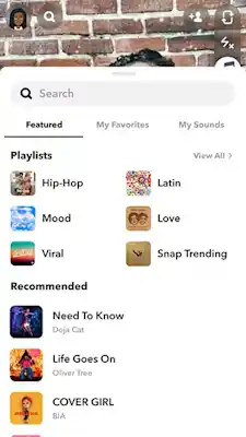 UI image that shows Snap Sounds
