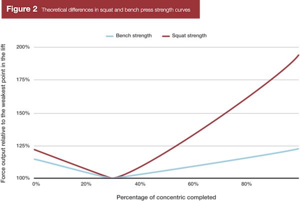 ベンチプレス研究図2