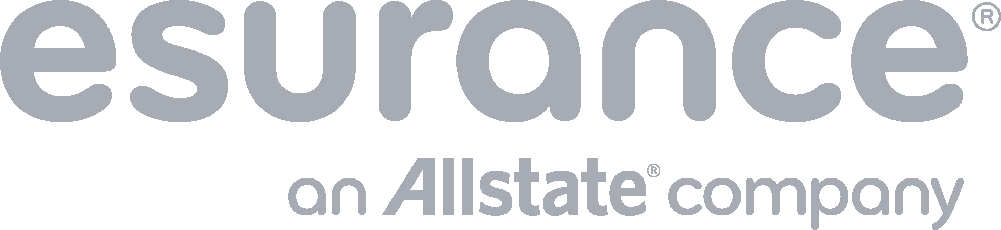 Esurance Logo - Cool Gray