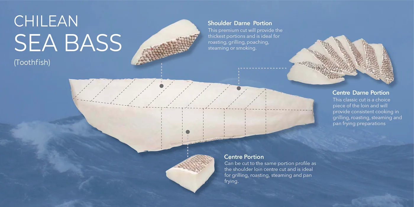 Chilean Seabass Cut Guide
