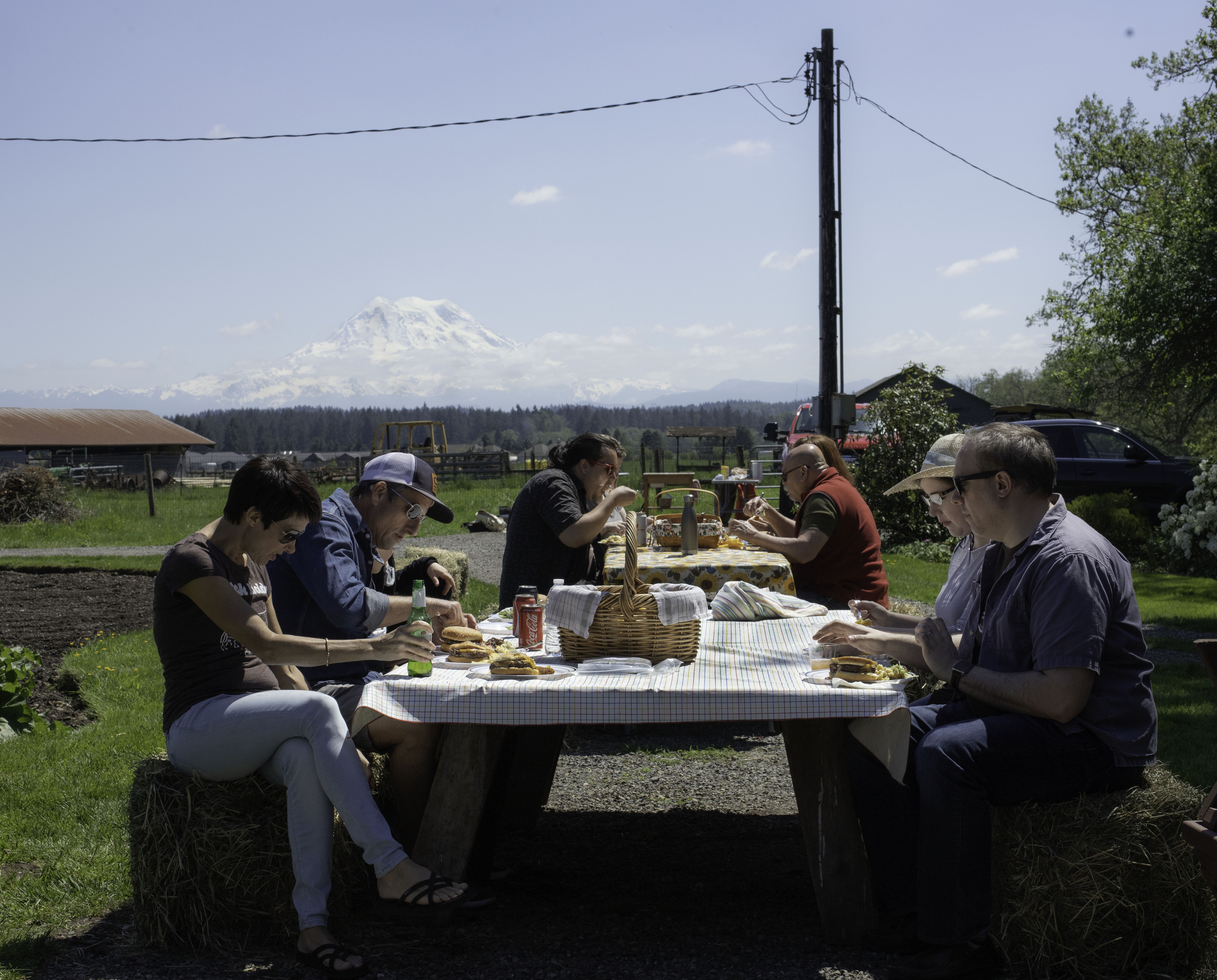 Crowd Cow team enjoying the picnic