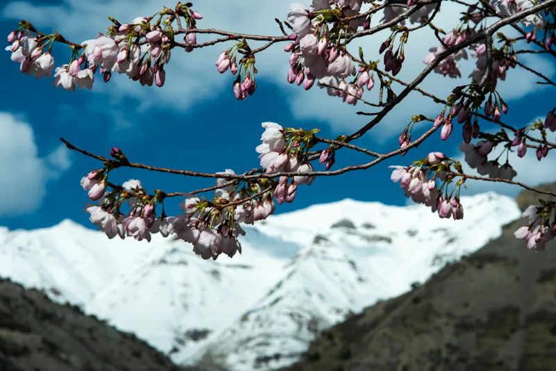 website-builder-orem-utah