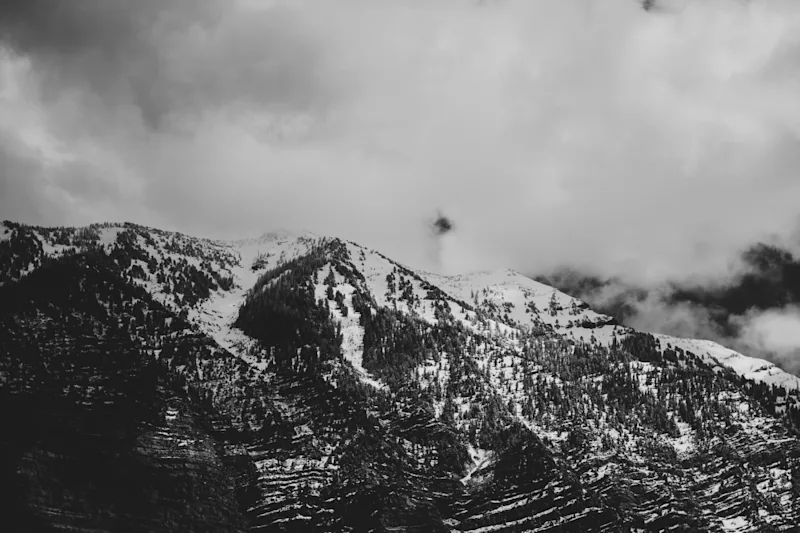 orem-utah-seo-company