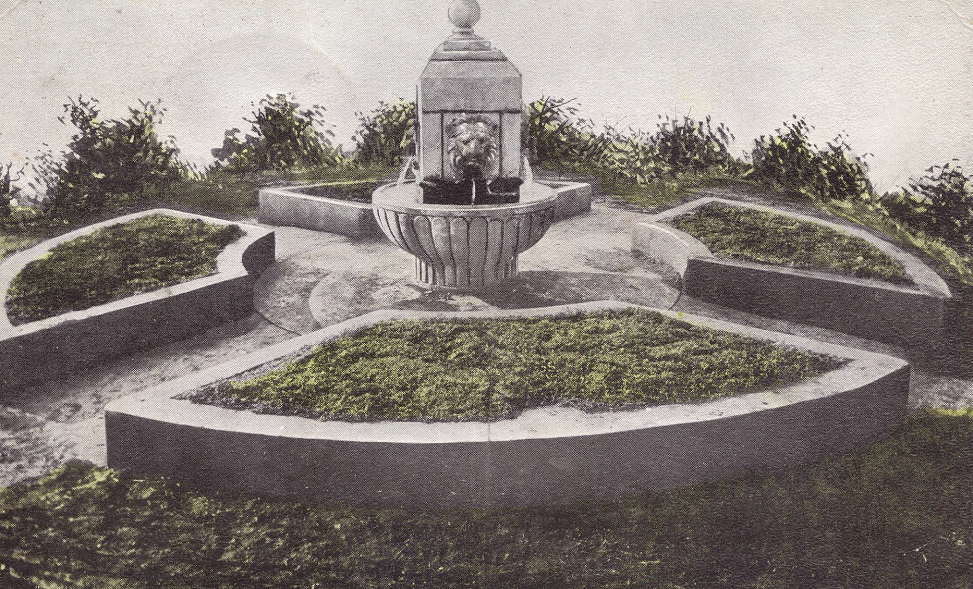 Web Design in Arlington