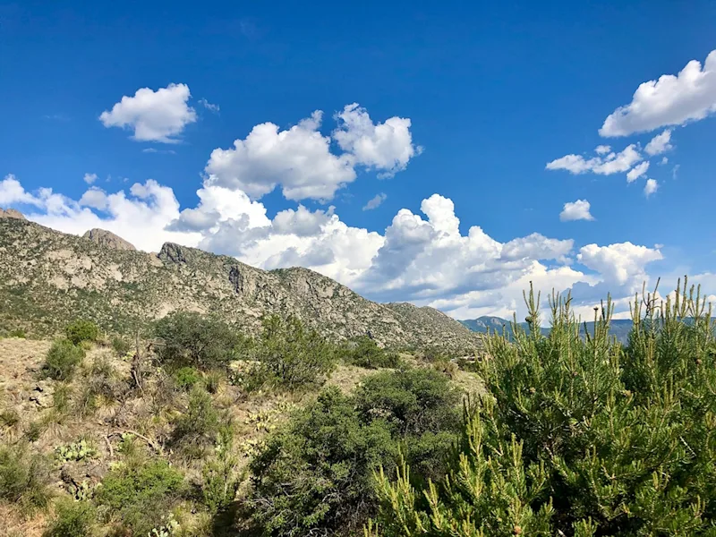 Albuquerque-seo-agency