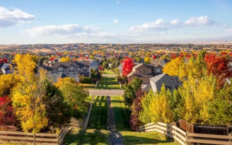 centennial-seo-company-800x500