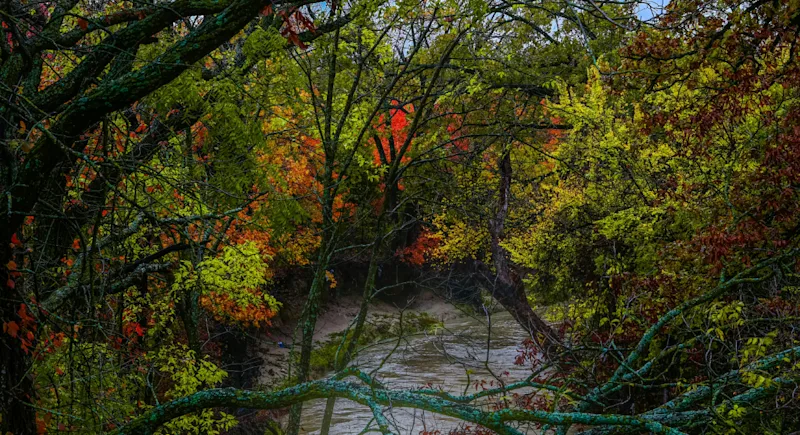 best-seo-Garland-Texas