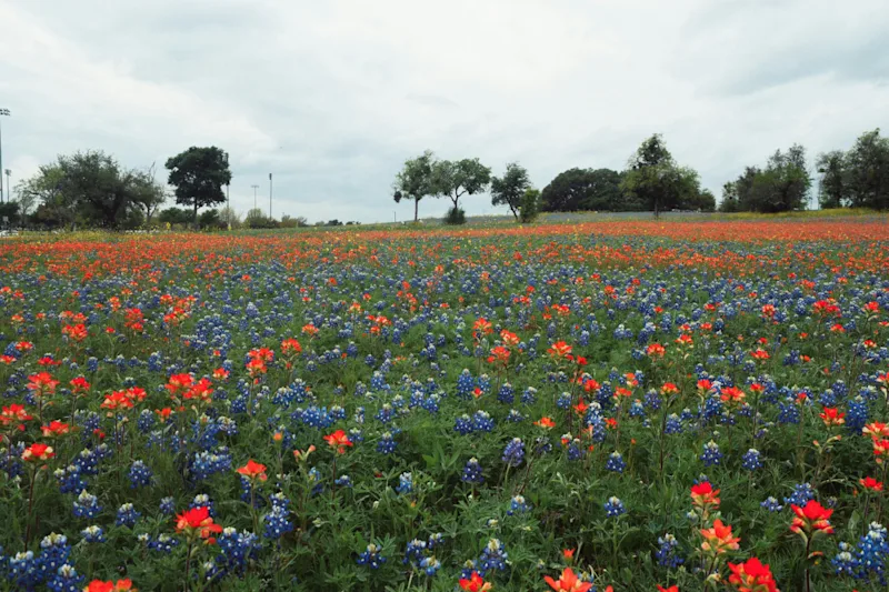 web-design-Round-Rock-texas