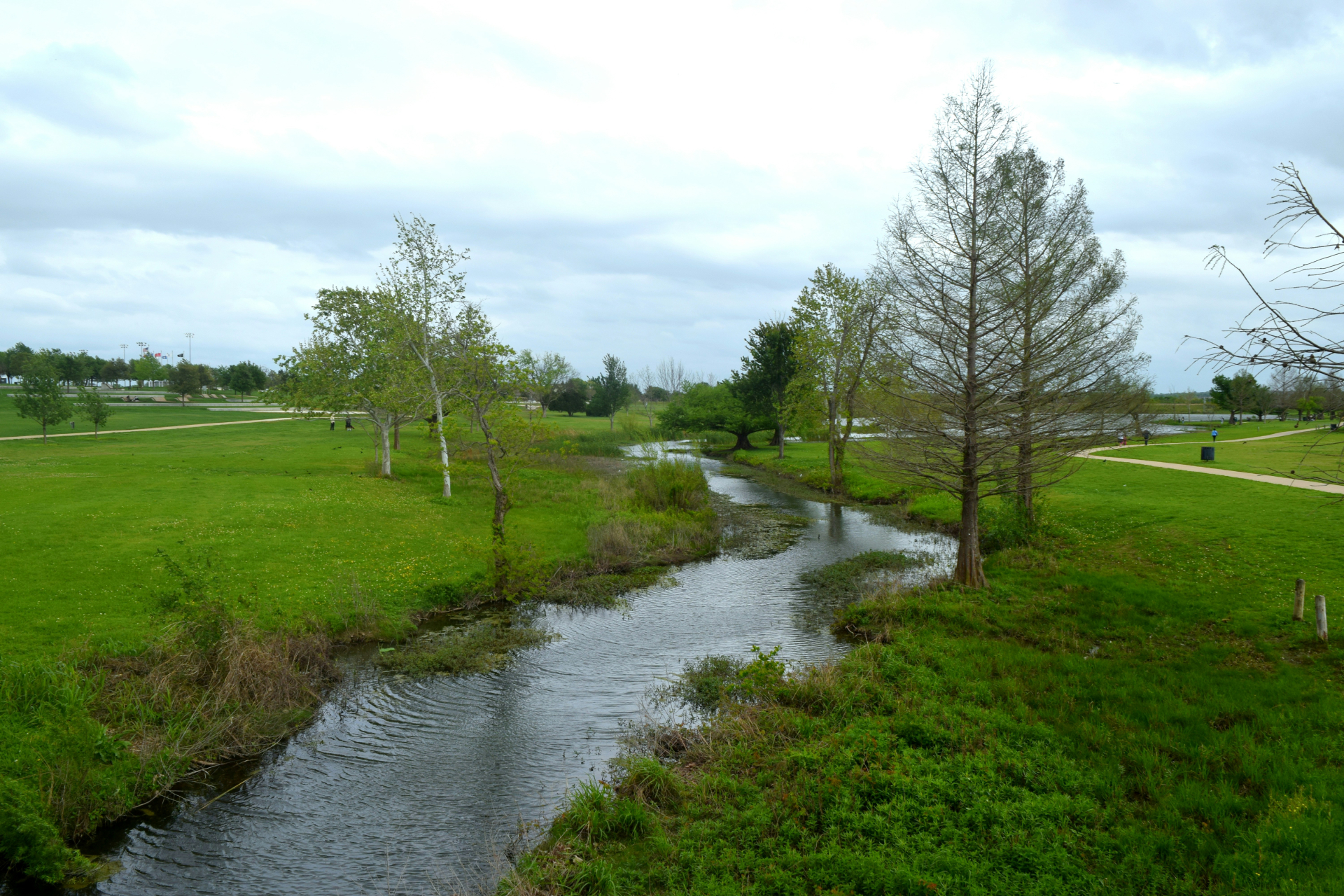 PPC & SEO Services in Round Rock