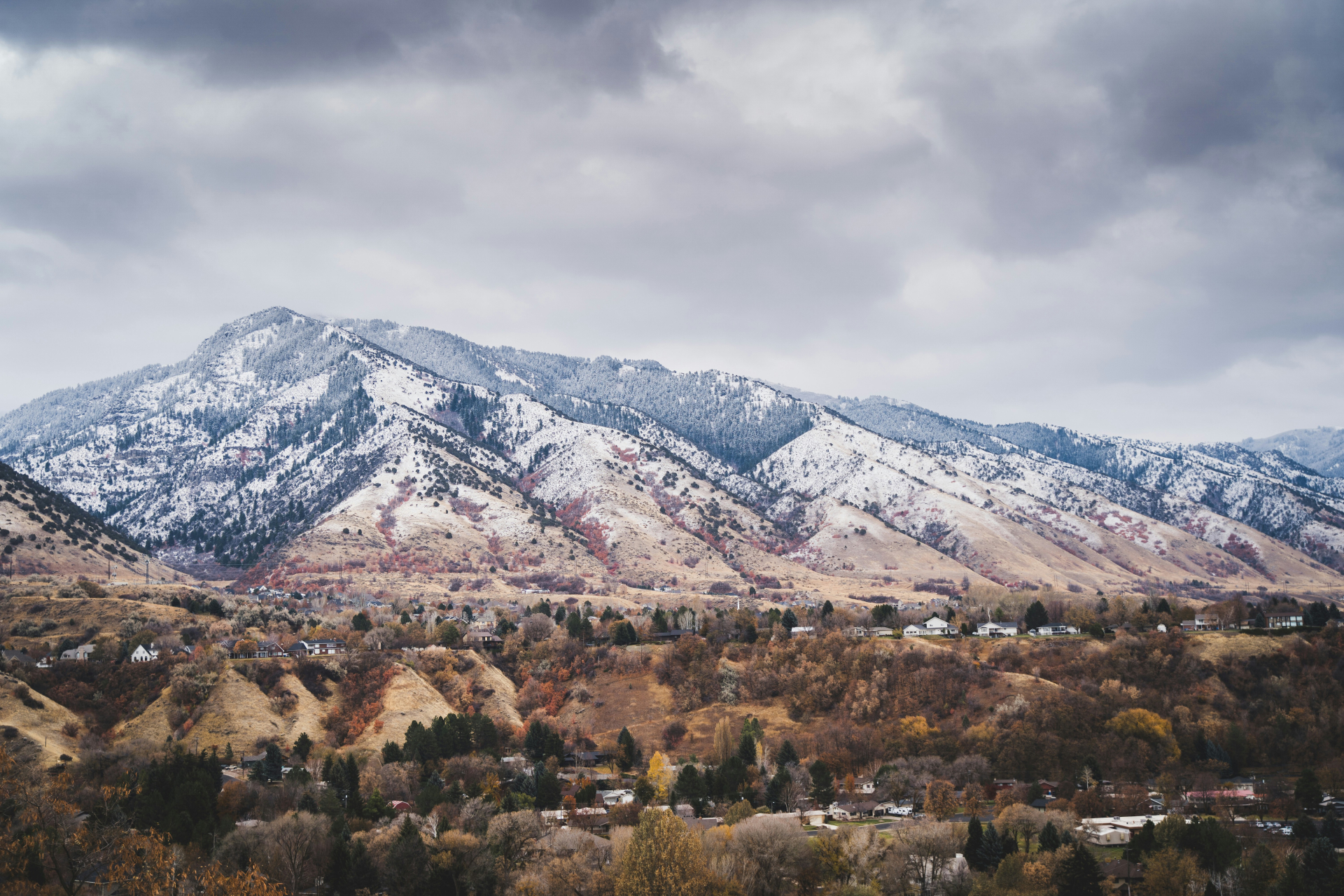 PPC & SEO Services in Layton